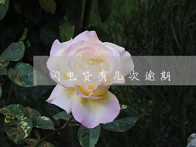 闪电贷有几次逾期 闪电贷有几次逾期