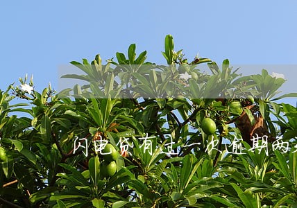 闪电贷有过一次逾期两天