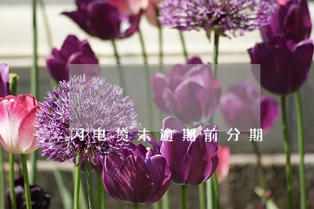 闪电贷未逾期前分期 闪电贷未逾期前分期