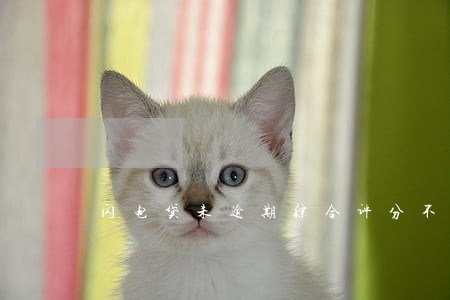 闪电贷未逾期综合评分不足 闪电贷未逾期综合评分不足