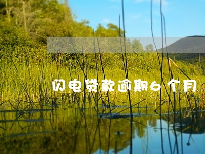 闪电贷款逾期6个月 闪电贷款逾期6个月