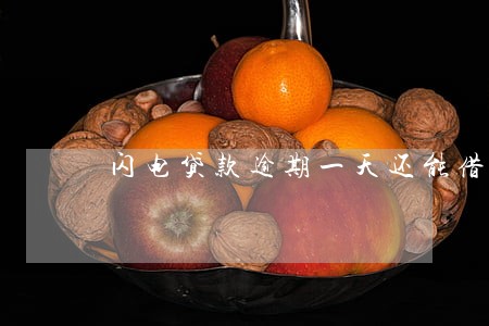 闪电贷款逾期一天还能借么 闪电贷款逾期一天还能借么