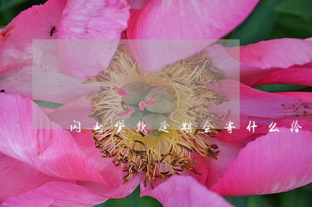 闪电贷款逾期会寄什么给你