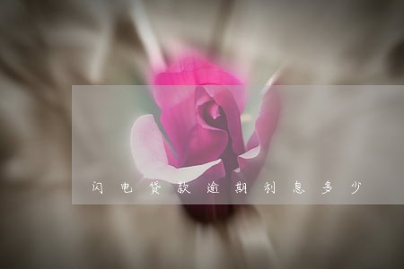 闪电贷款逾期利息多少 闪电贷款逾期利息多少