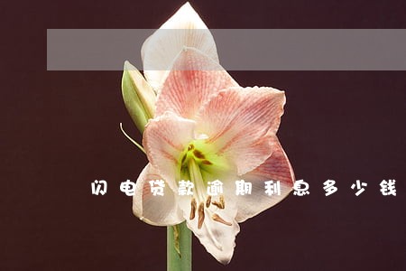 闪电贷款逾期利息多少钱 闪电贷款逾期利息多少钱
