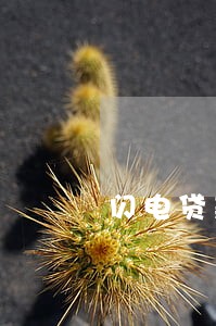 闪电贷款逾期后果严重 闪电贷款逾期后果严重