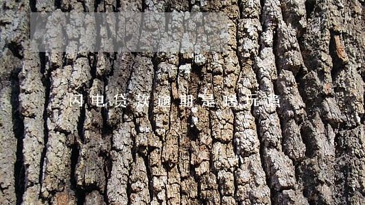 闪电贷款逾期是啥玩意 闪电贷款逾期是啥玩意