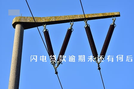 闪电贷款逾期未还有何后果