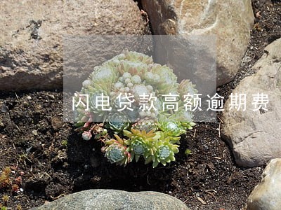 闪电贷款高额逾期费 闪电贷款高额逾期费