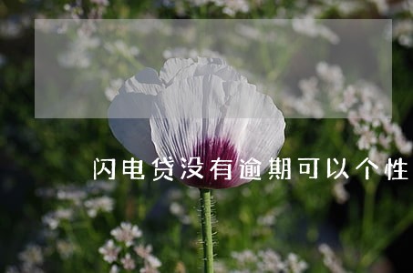 闪电贷没有逾期可以个性化分期吗 闪电贷没有逾期可以个性化分期吗
