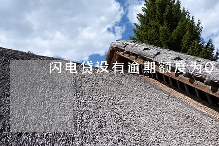 闪电贷没有逾期额度为0 闪电贷没有逾期额度为0