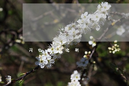 闪电贷没逾期 闪电贷没逾期