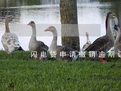 闪电贷申请撤销逾期记录 闪电贷申请撤销逾期记录