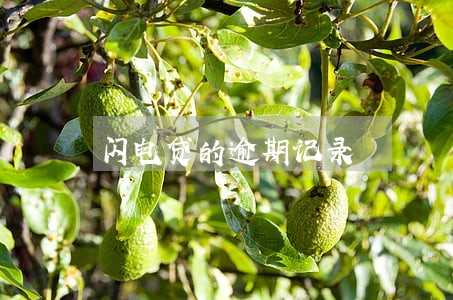 闪电贷的逾期记录 闪电贷的逾期记录
