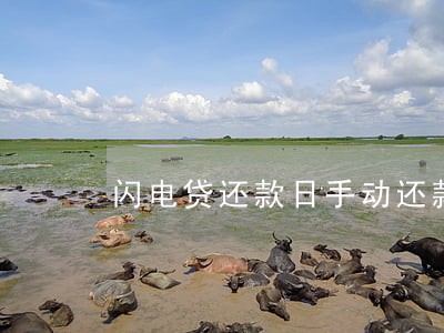 闪电贷还款日手动还款算逾期吗 闪电贷还款日手动还款算逾期吗
