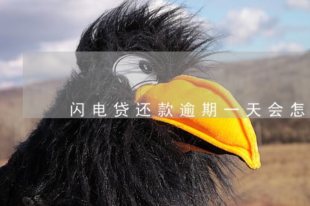闪电贷还款逾期一天会怎么样 闪电贷还款逾期一天会怎么样