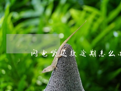 闪电贷还款逾期怎么办 闪电贷还款逾期怎么办