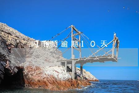 闪电贷逾期10天 闪电贷逾期10天