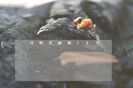 闪电贷逾期15万 闪电贷逾期15万