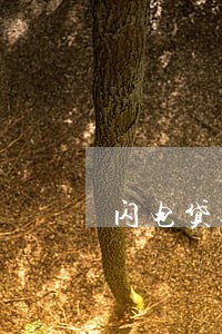 闪电贷逾期3年 闪电贷逾期3年