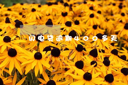 闪电贷逾期400多天 闪电贷逾期400多天