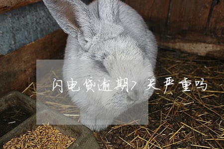 闪电贷逾期7天严重吗 闪电贷逾期7天严重吗