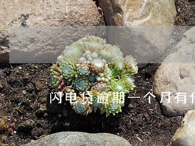闪电贷逾期一个月有什么影响 闪电贷逾期一个月有什么影响