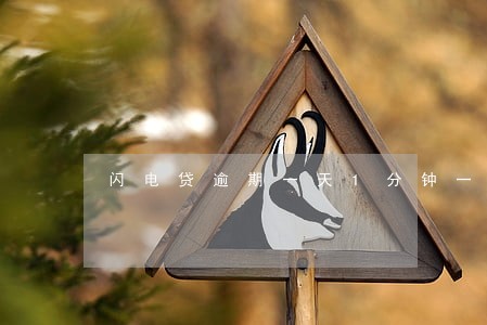 闪电贷逾期一天1分钟一个电话