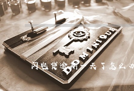 闪电贷逾期一天了怎么办 闪电贷逾期一天了怎么办