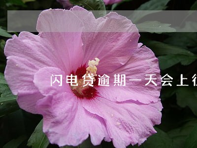 闪电贷逾期一天会上征信么 闪电贷逾期一天会上征信么