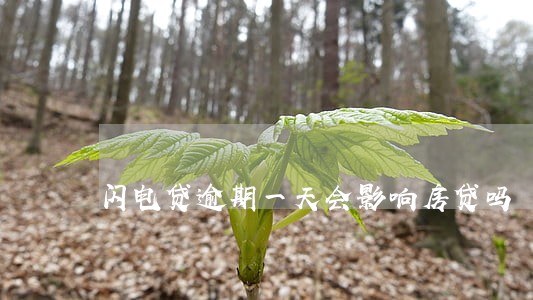 闪电贷逾期一天会影响房贷吗 闪电贷逾期一天会影响房贷吗