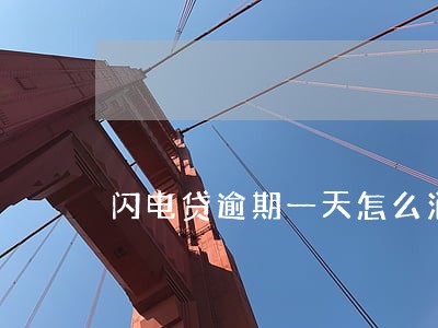 闪电贷逾期一天怎么消除 闪电贷逾期一天怎么消除