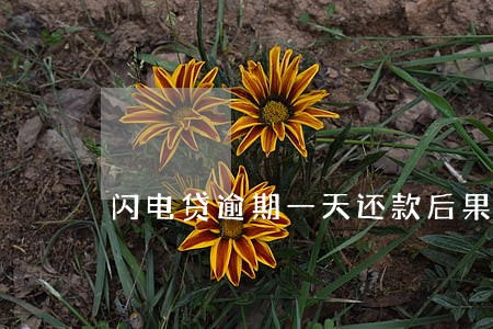 闪电贷逾期一天还款后果 闪电贷逾期一天还款后果