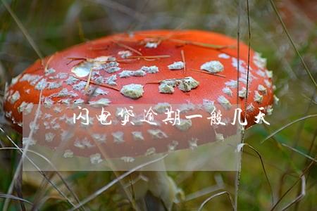 闪电贷逾期一般几天 闪电贷逾期一般几天