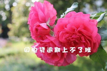 闪电贷逾期上不了班 闪电贷逾期上不了班