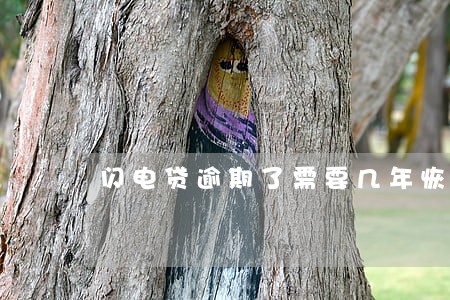 闪电贷逾期了需要几年恢复 闪电贷逾期了需要几年恢复