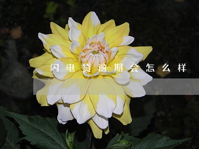 闪电贷逾期会怎么样 闪电贷逾期会怎么样