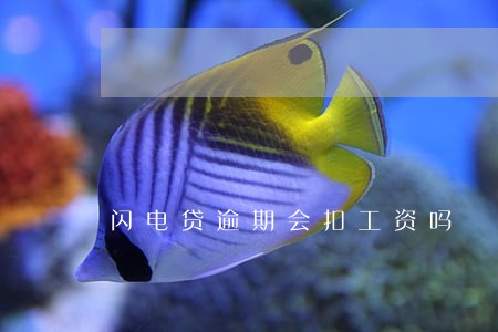 闪电贷逾期会扣工资吗 闪电贷逾期会扣工资吗