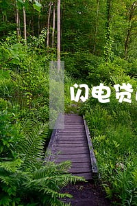 闪电贷逾期会有利息吗 闪电贷逾期会有利息吗