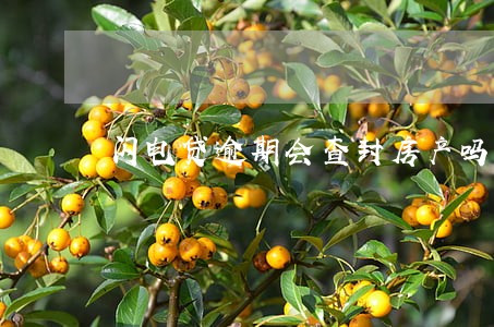 闪电贷逾期会查封房产吗