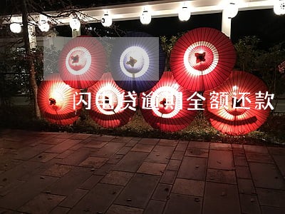 闪电贷逾期全额还款