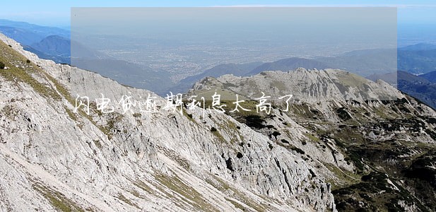 闪电贷逾期利息太高了