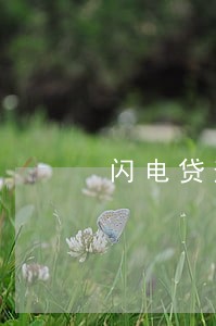 闪电贷逾期半年以上
