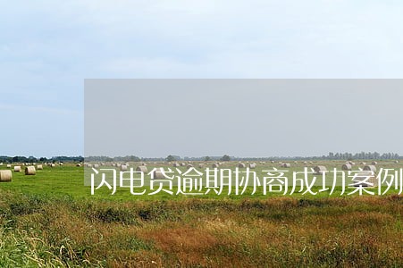 闪电贷逾期协商成功案例 闪电贷逾期协商成功案例