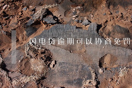 闪电贷逾期可以协商免罚息 闪电贷逾期可以协商免罚息