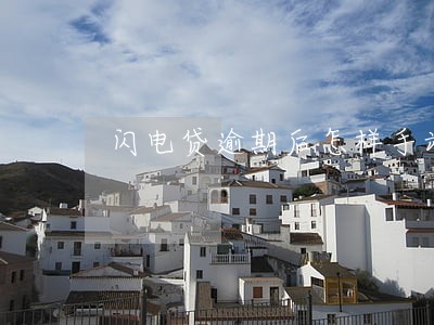 闪电贷逾期后怎样手动还款 闪电贷逾期后怎样手动还款