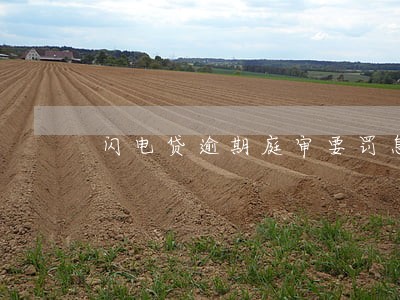闪电贷逾期庭审要罚息 闪电贷逾期庭审要罚息