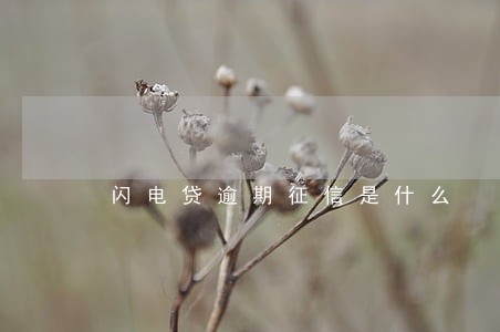 闪电贷逾期征信是什么 闪电贷逾期征信是什么