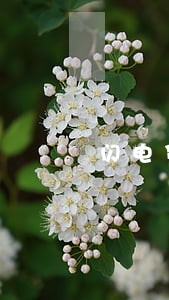 闪电贷逾期怎么消除 闪电贷逾期怎么消除