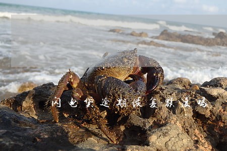 闪电贷逾期恢复额度吗 闪电贷逾期恢复额度吗